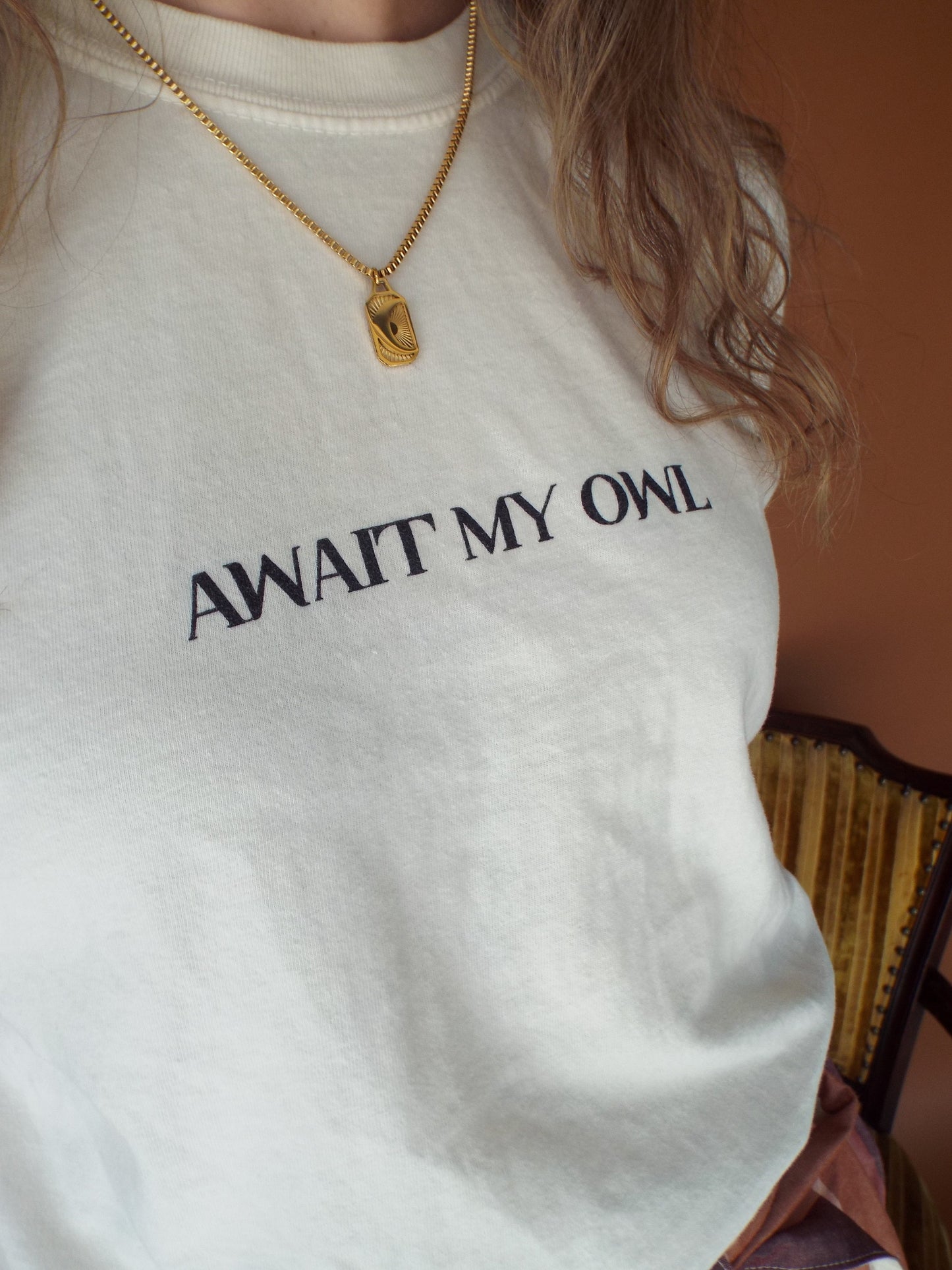 await my owl tee