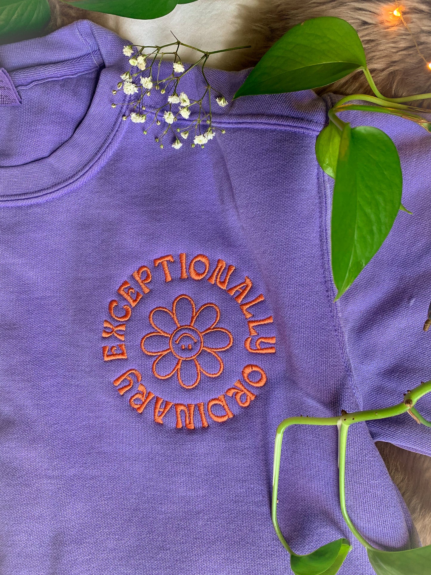 exceptionally ordinary sweatshirt