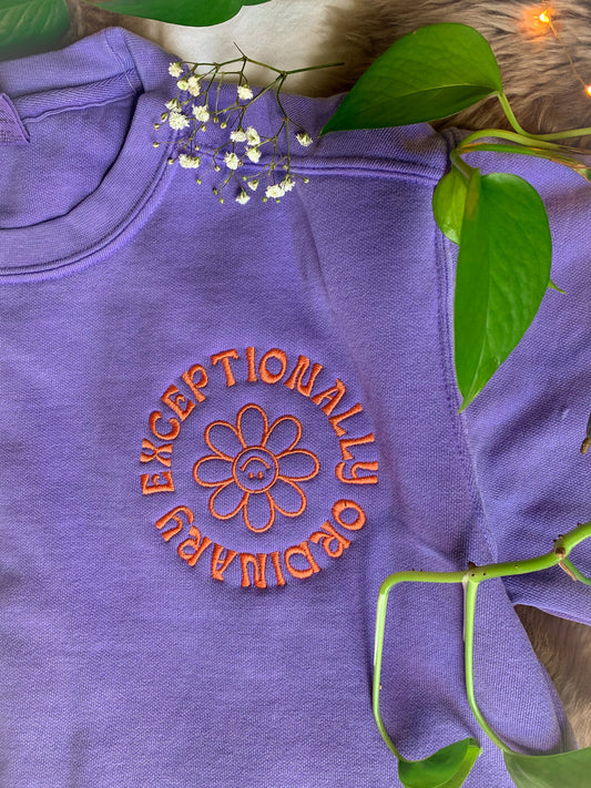 exceptionally ordinary sweatshirt