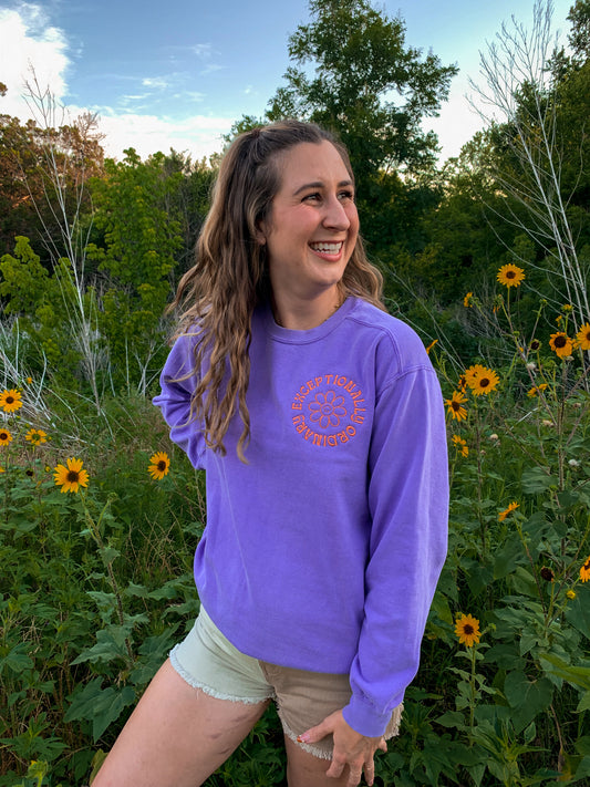 exceptionally ordinary sweatshirt