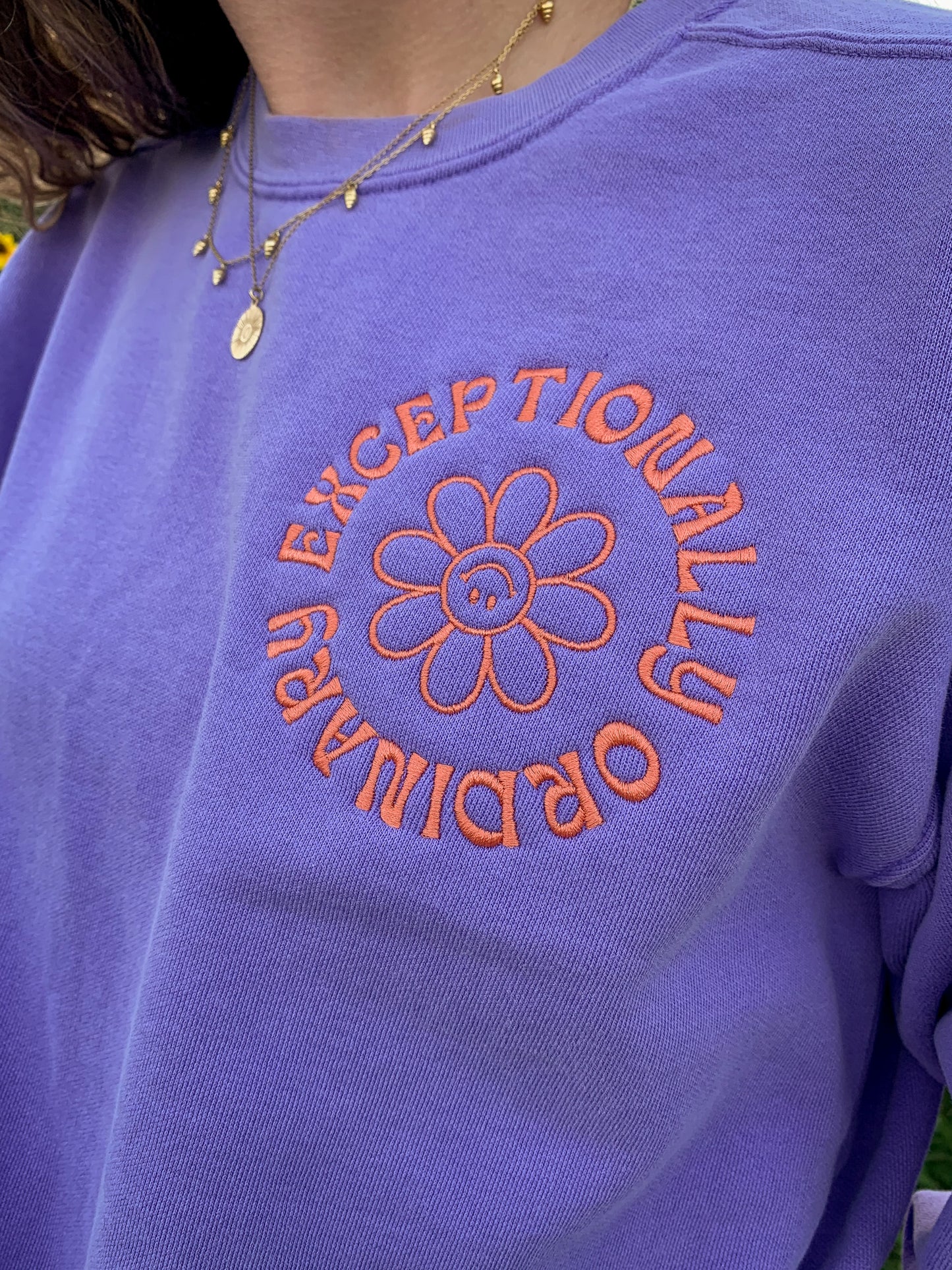 exceptionally ordinary sweatshirt